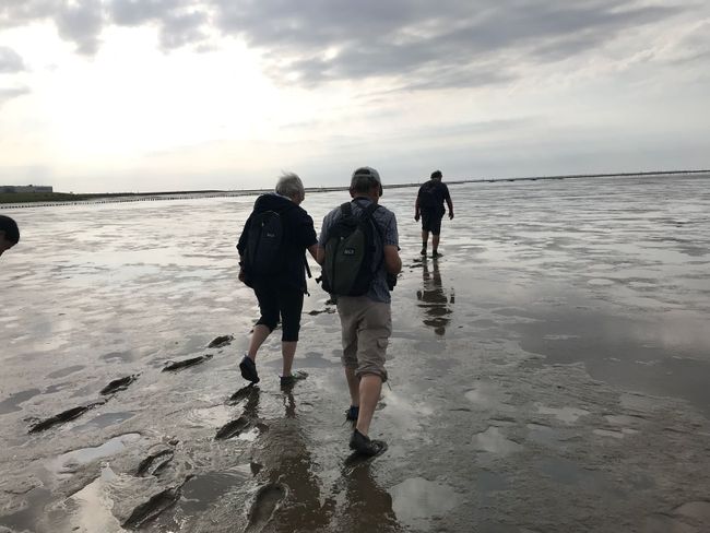 June 15, 2018 Nordeney and Mudflat Hiking