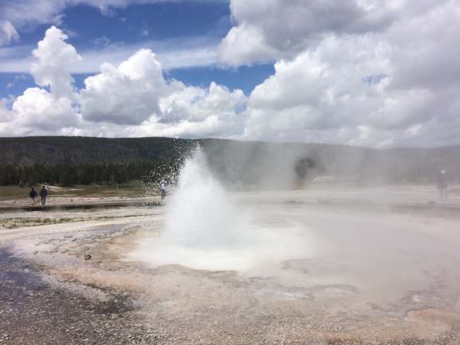 Parco Nazionale Yellowstone