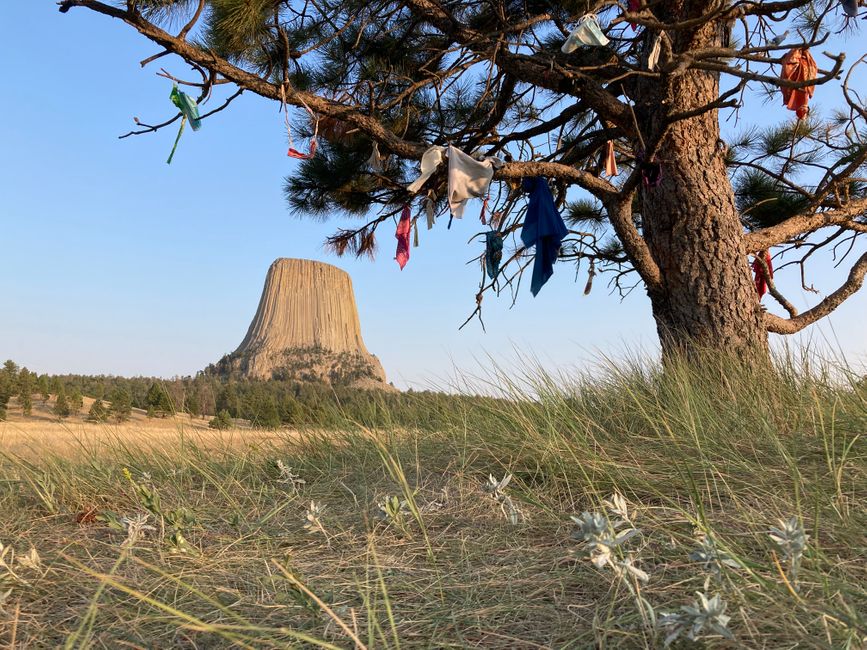 Ritual ribbons of the American Natives in the trees near Devil's Tower