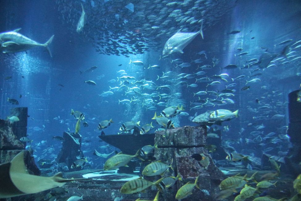 Day 2 (2014) - Dubai: Atlantis the Palm & Aquaventure Water Park