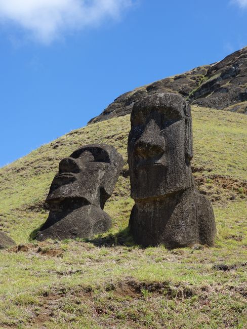 Rano Raraku: Angeblich sind hier noch 397 Moai erhalten, 112 haben wir gesehen.