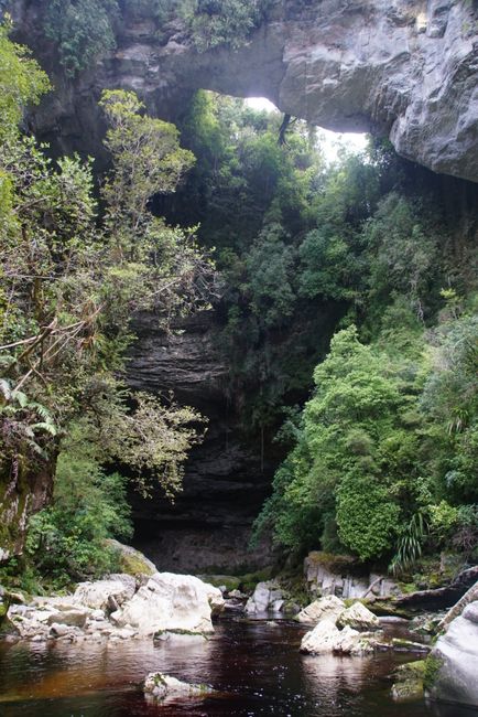 Oparara Arch - view from the cave outwards