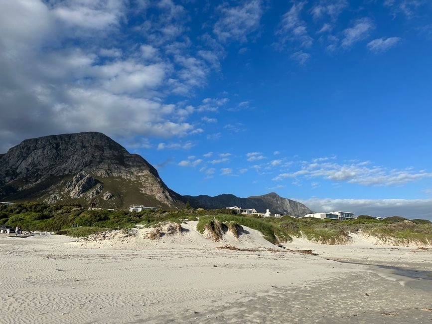 Hermanus ♥️