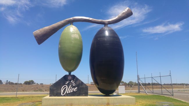Big Olives