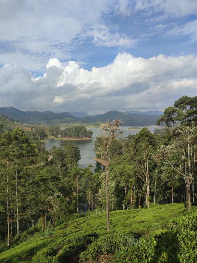 Kandy - Nuwala Eliya - Maskeliya - Sri Lanka