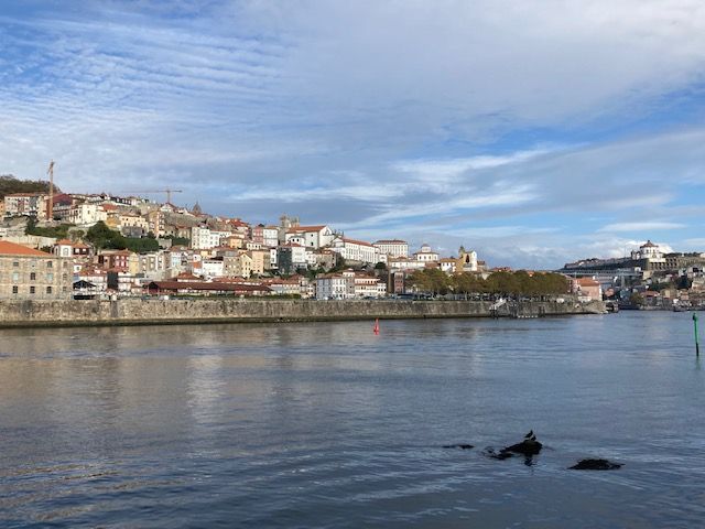 Porto von der gegenüberliegenden Seite gesehen.