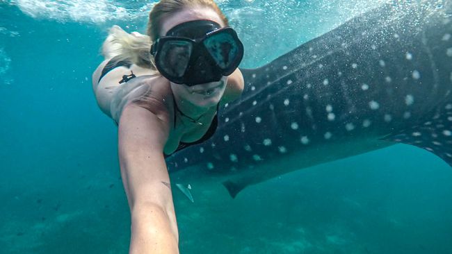 Tag 185 - Snorkeling with Whale Sharks in Oslob and another flat tire