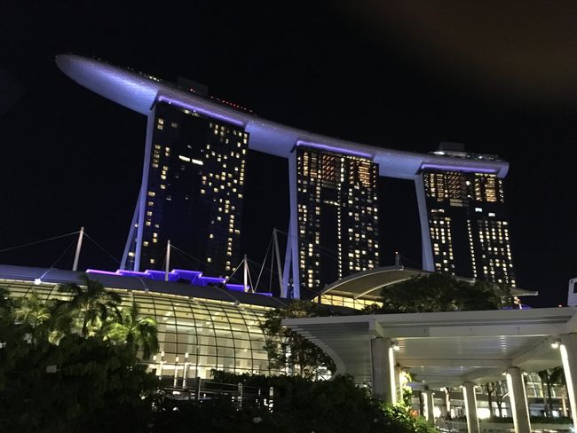 the Marina Bay Hotel looks amazing at night