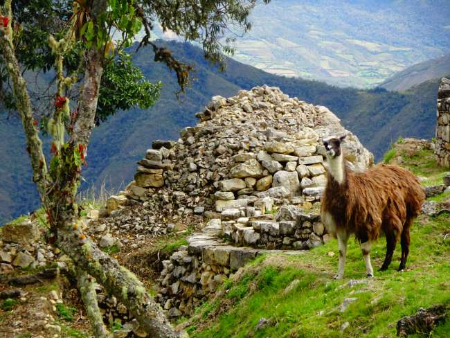 From cloud people, naked dogs, fishing horses and mountains at the end of the world - Welcome to Peru