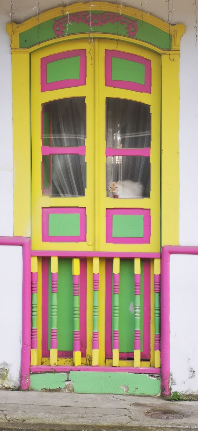 colorful door - perfectly normal