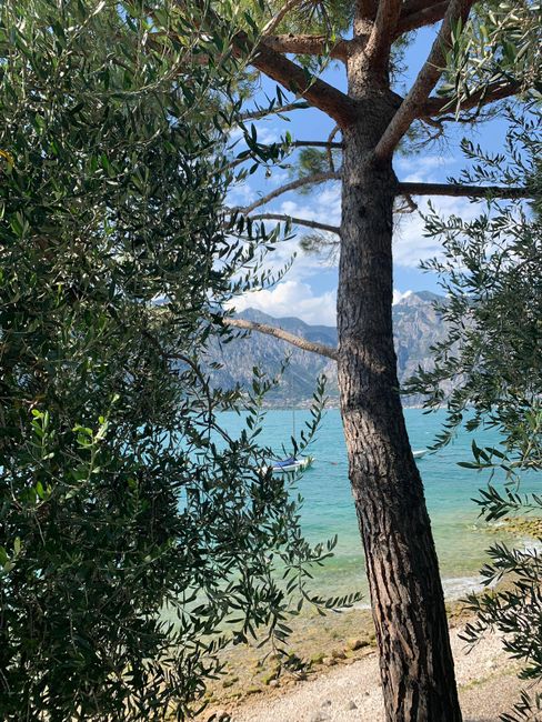Lago di Garda ❤️