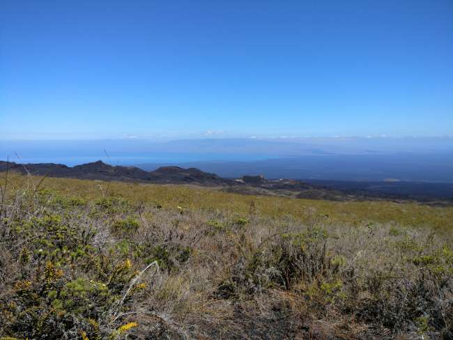 Sierra Negra Volcano 5