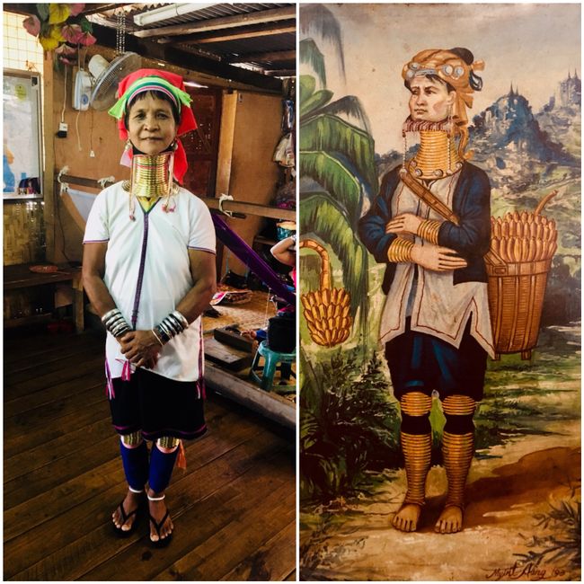 Long Neck Women of the Padaung Tribe