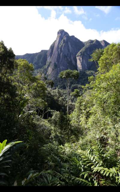 Regenwaldtrek im Marojejy Nationalpark