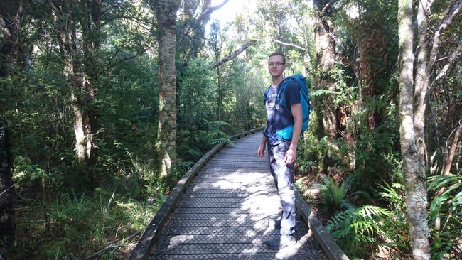 Milford Sound Foreshore Walk