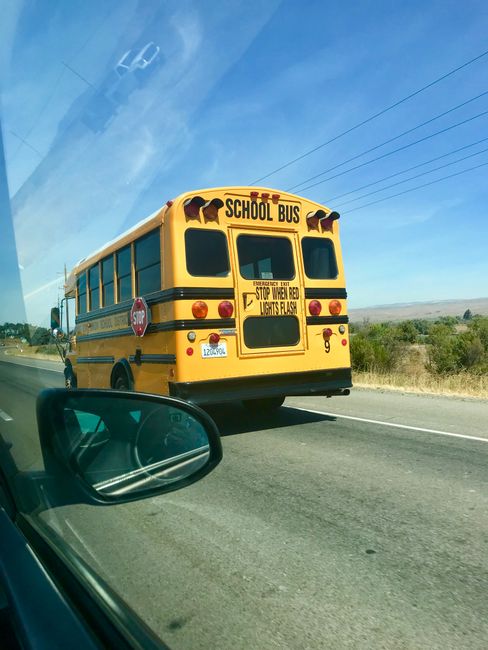 School Bus an jeder Ecke 