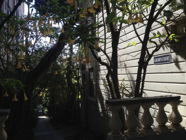 Bay West: San Francisco y Berkeley