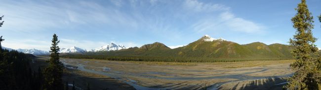 Denali Nationalpark - Bären, Elche und ein wolkenfreier Mt. McKinley