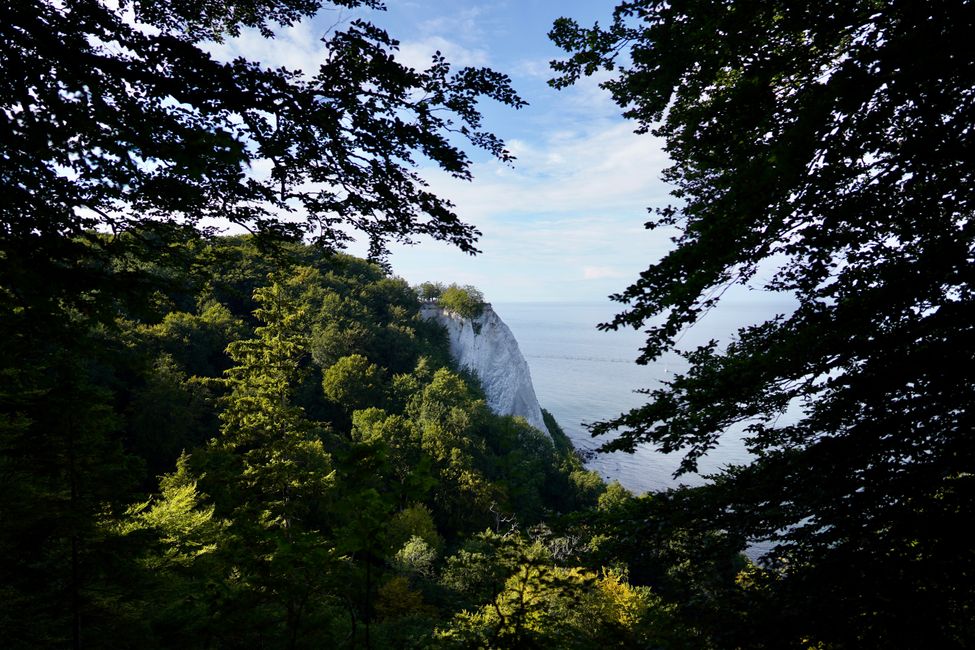 Kreidefelsen auf Rügen I