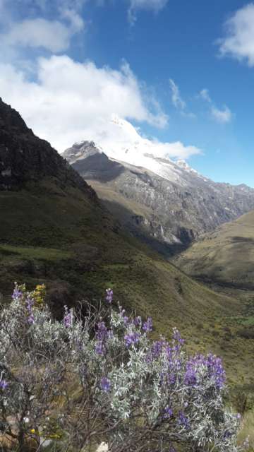 Huascaran (6768 m), der höchste Berg in Peru-leider wolkenverschleiert