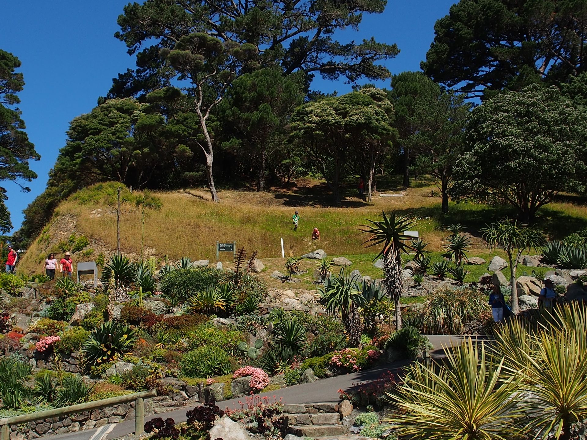 Wellington / Botanic Garden