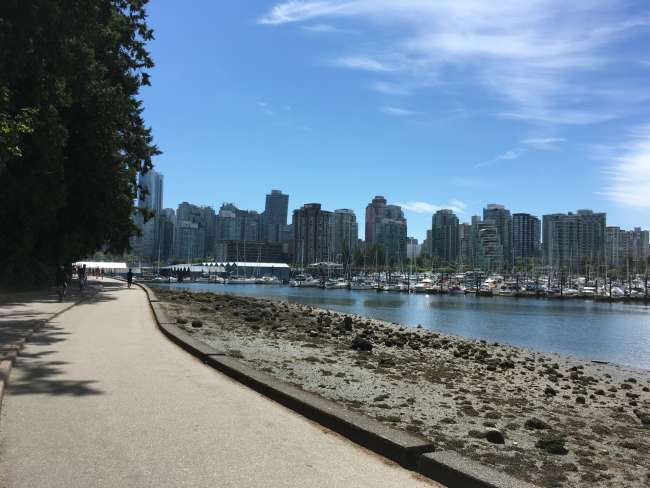 The view from Stanley Park towards Vancouver