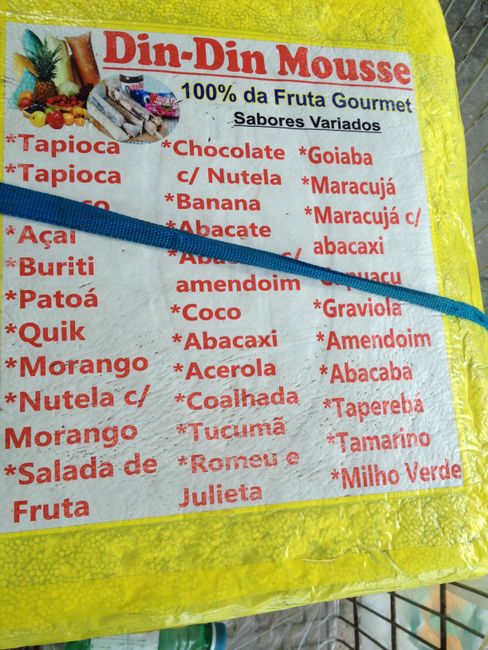 Brasilien: Manaus