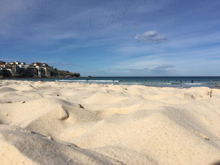 Sydney Bondi Beach