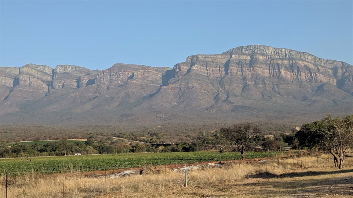 Tag 11: From Vaalwater to the Transvaal Drakensberg