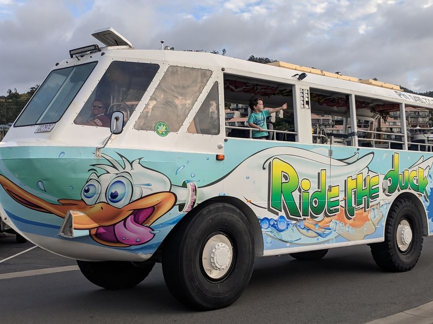 Ride the Duck - auch in Airlie Beach!