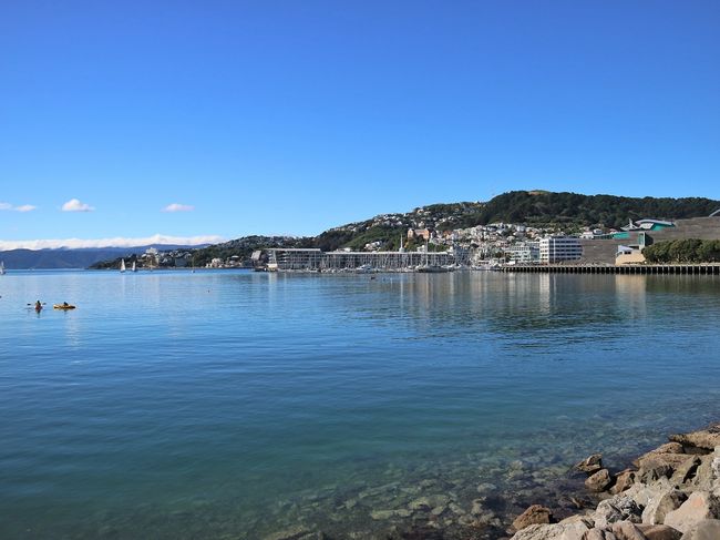 Wellington's waterfront
