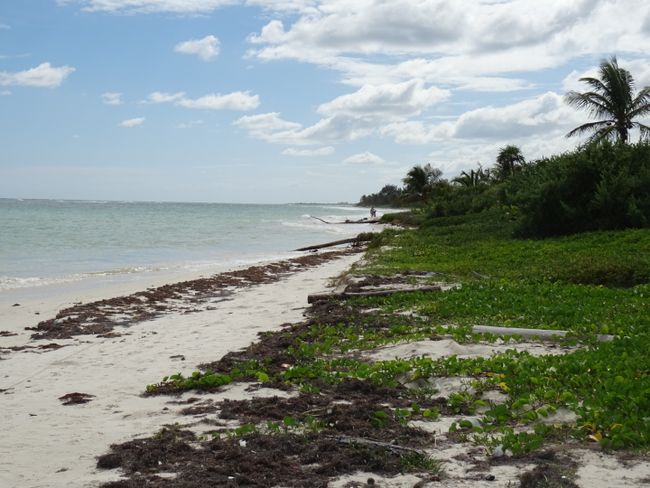 A beach for all of us in Mahahual