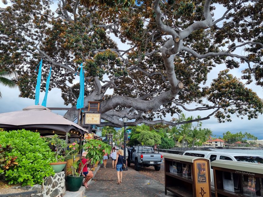 Hawaii 2022 - Teil 1: Big Island