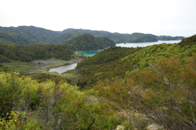 Abel-Tasman Nationalpark 1