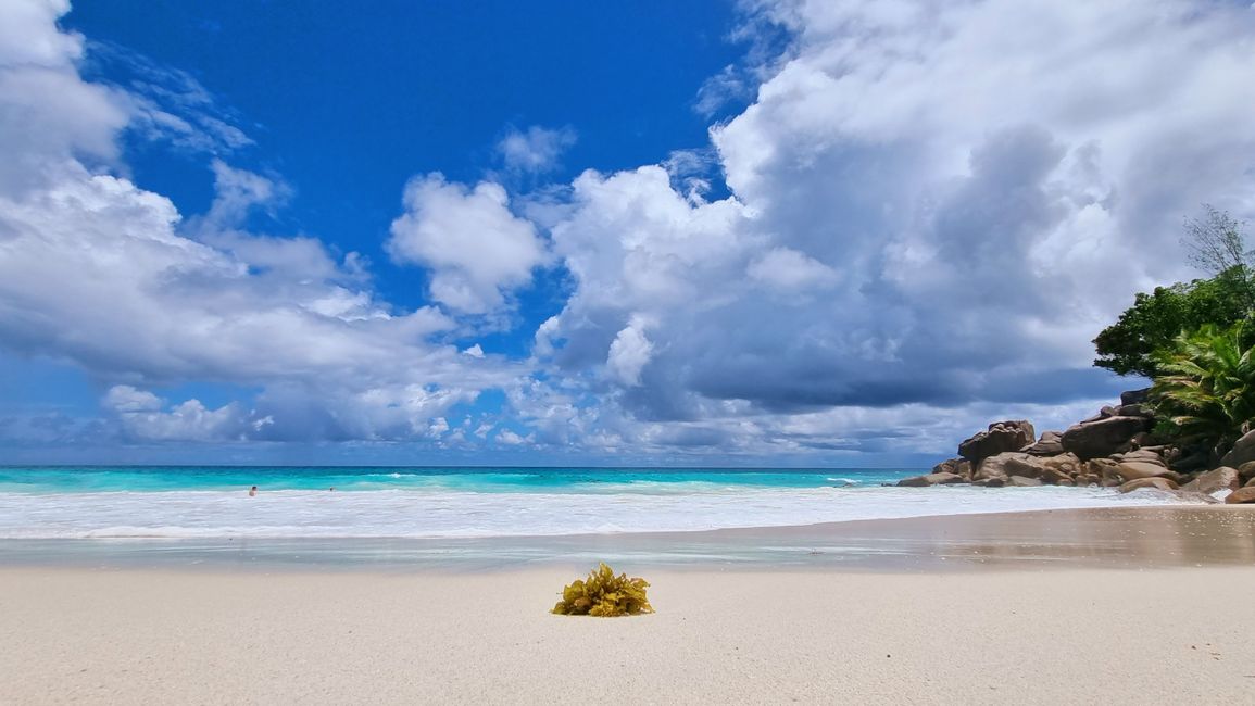 Seychelles 2023 - Part 2: Praslin