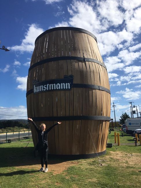 Kunstmann Brewery near Valdivia, operated by a German-Chilean family
