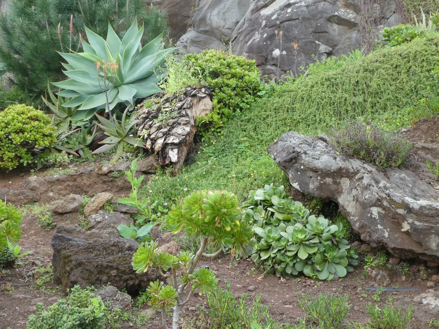 Botanical Garden Funchal
