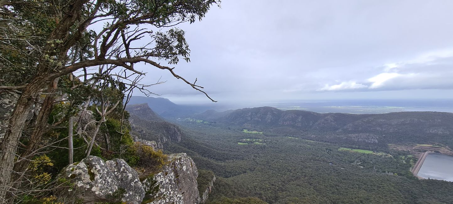 Etiqueta 10+11 - Los Grampians, canguros con joeys