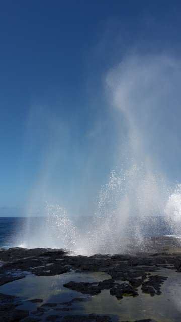 Blowholes ohne mich...