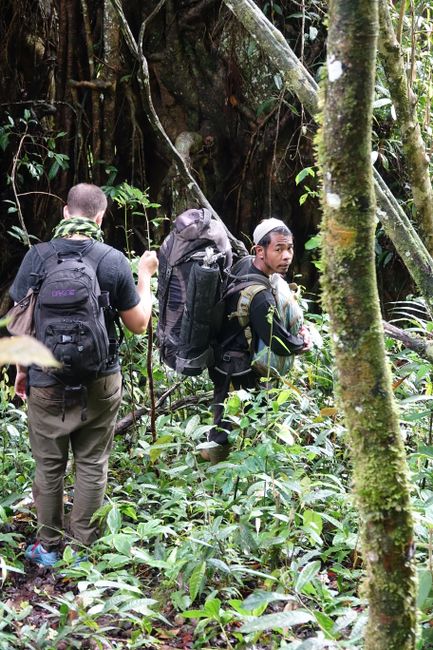 Day 210 - 214 Jungle Trekking