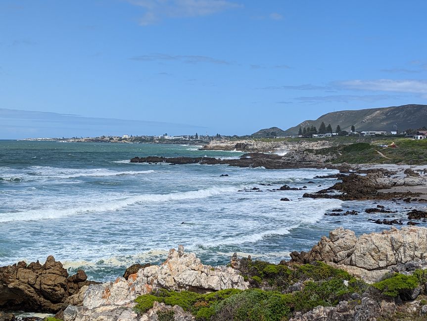 Hermanus / Cliff Path und die eigentliche "Walhauptstadt" Gansbaai