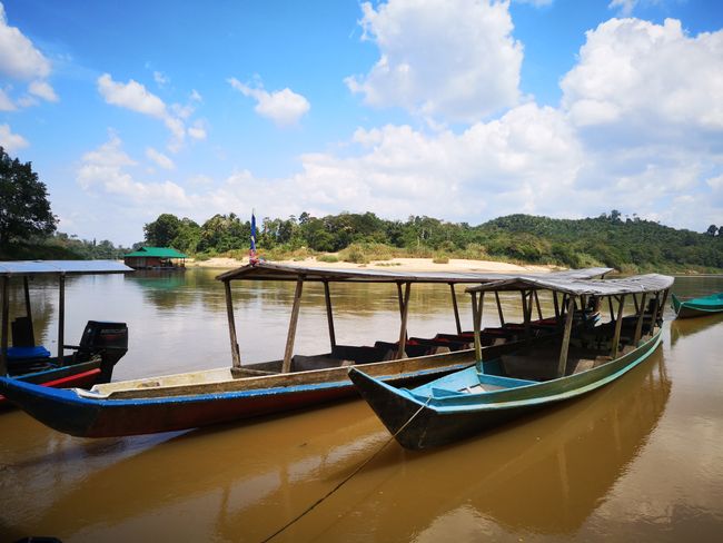 Mit diesen Booten sind wir zum Dorf Kuala Tahan gefahren