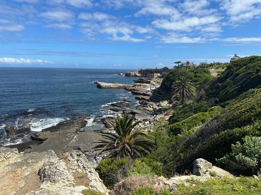 Hermanus ♥️