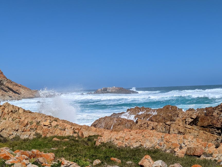 Plettenberg Bay/Robberg Nature Reserve