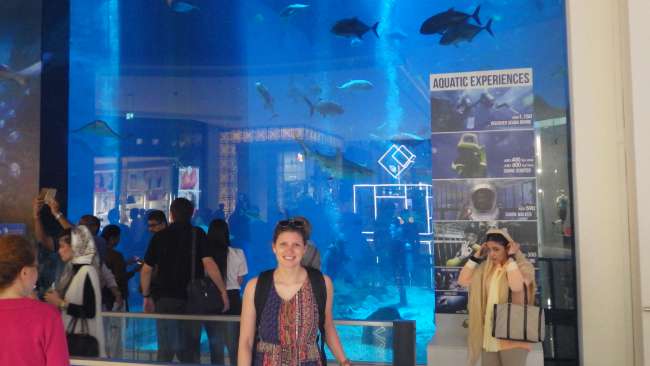 Aquarium mitten in der Dubai Mall