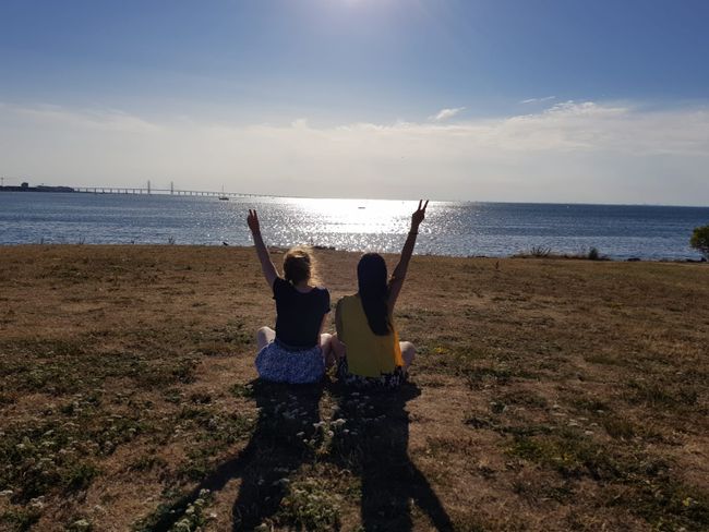 An der Küste - man beachte im Hintergrund die Öresundbrücke Richtung Dänemark 