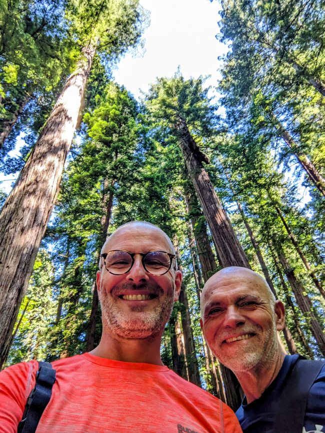 Parc nacional i estatal de Redwood/Califòrnia