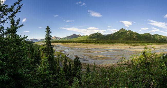Tag 143 and 144: Denali National Park - lots of wildlife and great mountains