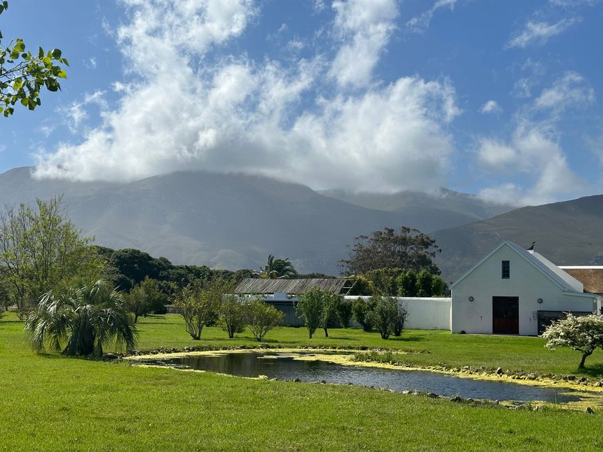 Hermanus ♥️