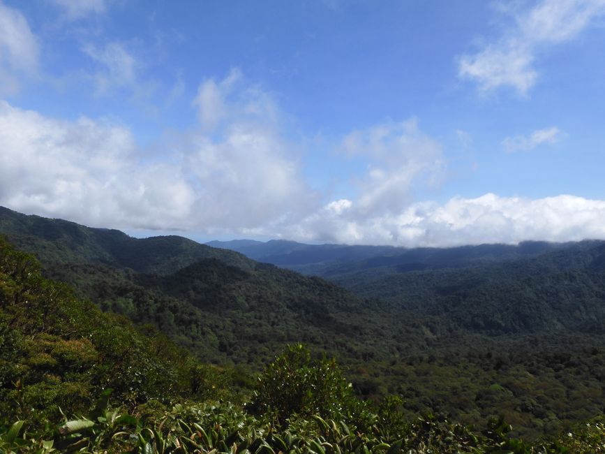 Monteverde - Coffee Tour, Cloud Forests, and the Most Beautiful Bird in the World